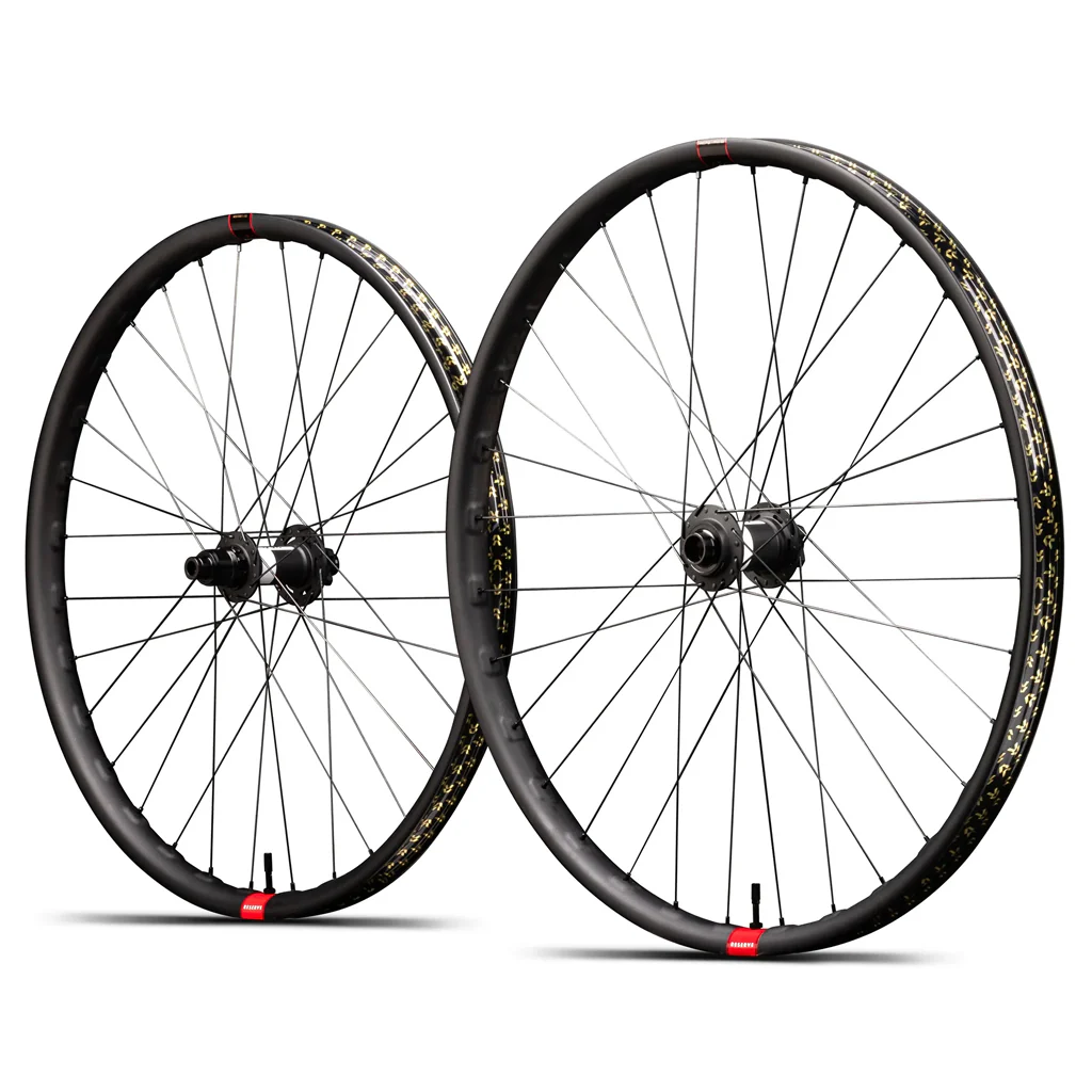 Reserve 30|DH 29" Carbon DT 350 DEG DF 110 157 XD 6-Bolt Wheelset