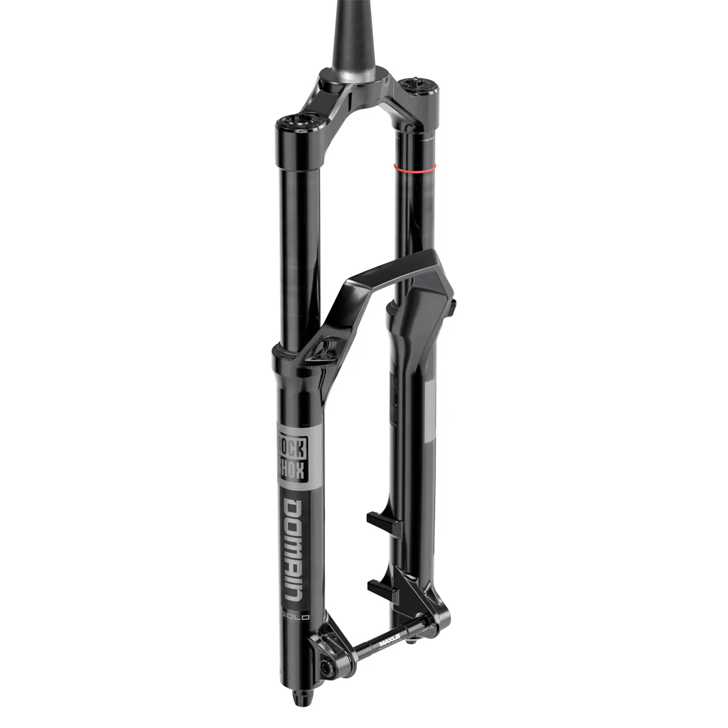 RockShox Domain Gold RC