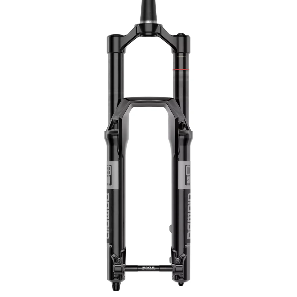 RockShox Domain Gold RC - Image 2
